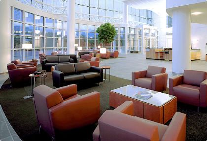 Commercial Cleaning Services