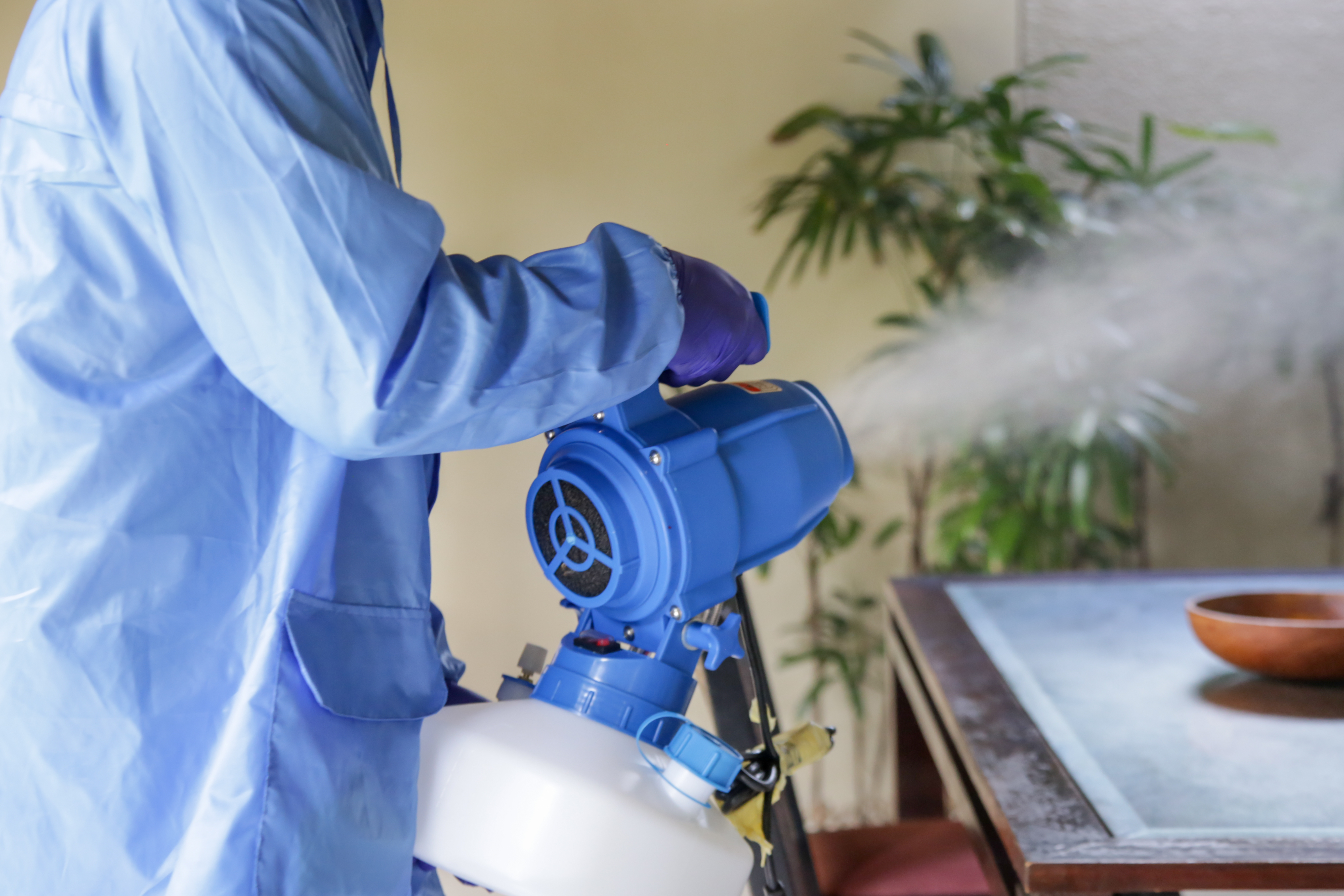 Domestic Cleaning can restore your home